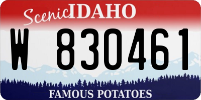 ID license plate W830461