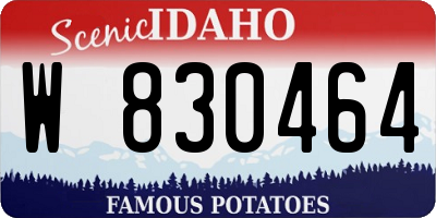 ID license plate W830464