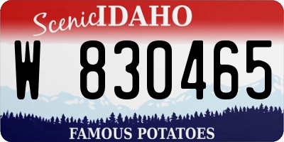 ID license plate W830465