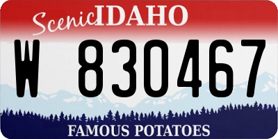ID license plate W830467