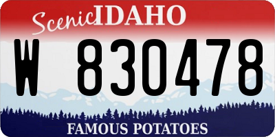 ID license plate W830478