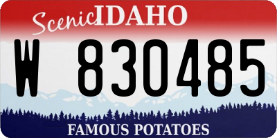 ID license plate W830485
