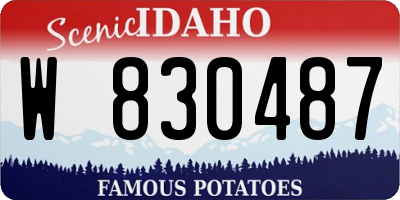 ID license plate W830487