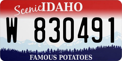 ID license plate W830491