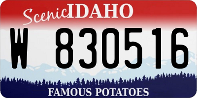 ID license plate W830516