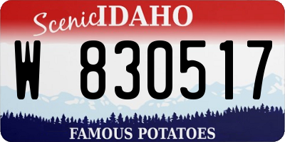 ID license plate W830517