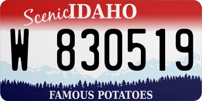 ID license plate W830519