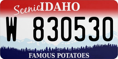 ID license plate W830530