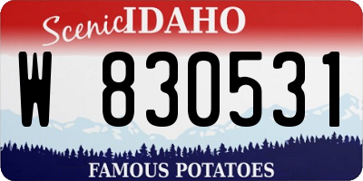 ID license plate W830531