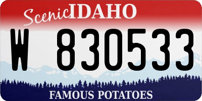 ID license plate W830533