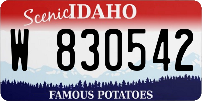ID license plate W830542