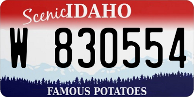 ID license plate W830554