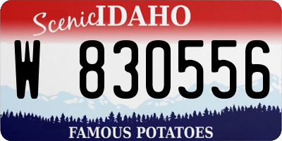 ID license plate W830556