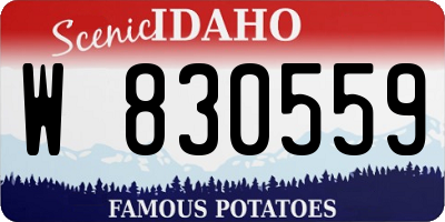 ID license plate W830559