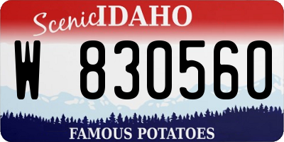 ID license plate W830560