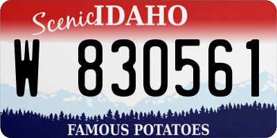 ID license plate W830561