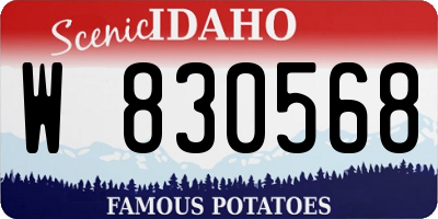 ID license plate W830568
