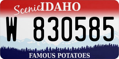 ID license plate W830585