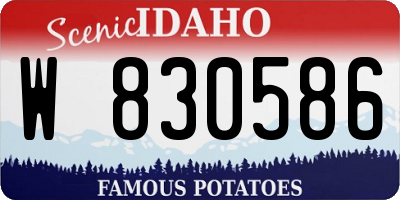 ID license plate W830586