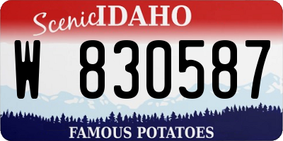 ID license plate W830587