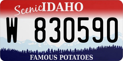 ID license plate W830590