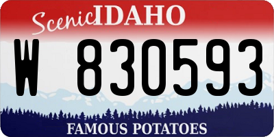ID license plate W830593