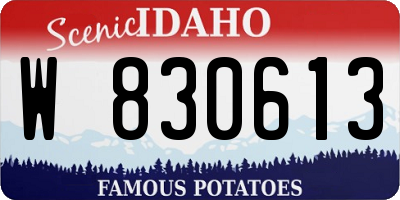 ID license plate W830613