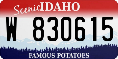 ID license plate W830615