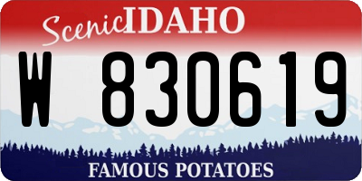 ID license plate W830619