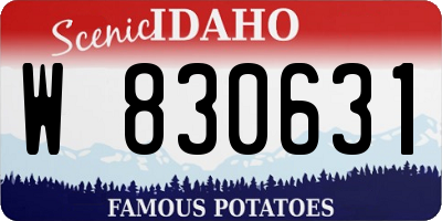 ID license plate W830631