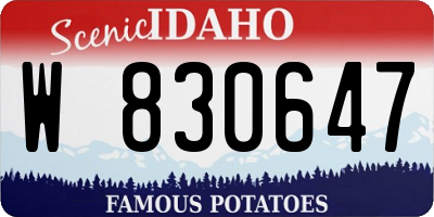 ID license plate W830647