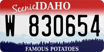 ID license plate W830654