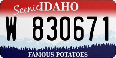 ID license plate W830671