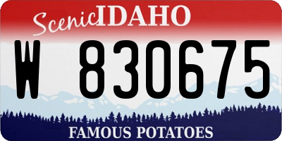 ID license plate W830675