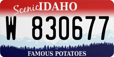 ID license plate W830677