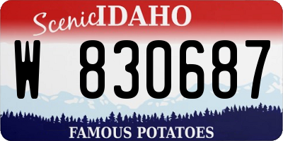 ID license plate W830687