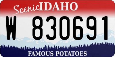 ID license plate W830691