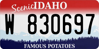 ID license plate W830697
