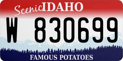 ID license plate W830699
