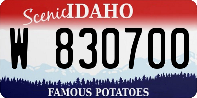 ID license plate W830700