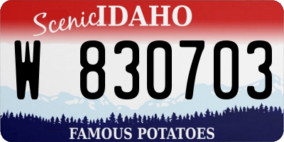 ID license plate W830703