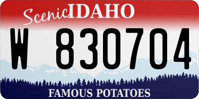ID license plate W830704
