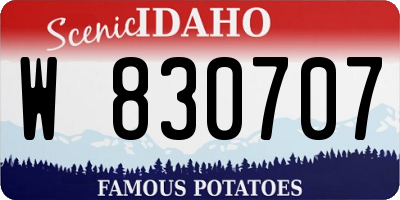 ID license plate W830707