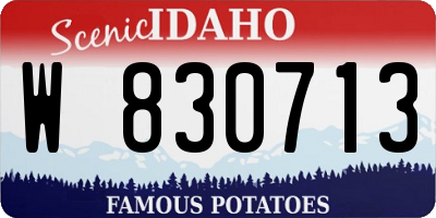 ID license plate W830713