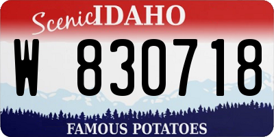 ID license plate W830718