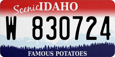 ID license plate W830724