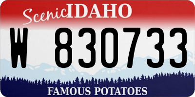 ID license plate W830733