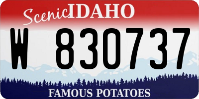 ID license plate W830737