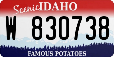 ID license plate W830738