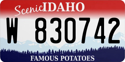 ID license plate W830742